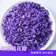 批发云南勿忘花瓣装饰用香薰农产品蓝色勿忘我花瓣花朵