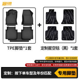 适用长城C30脚垫TPE双层专车专用全包围防水耐磨脚垫