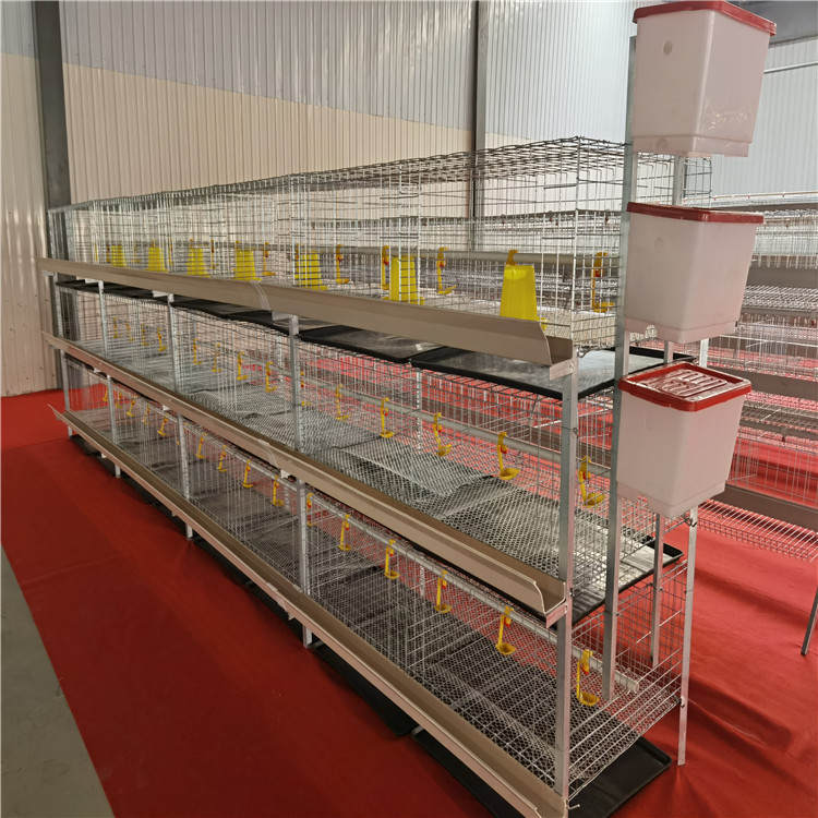 肉鸡笼组连白槽