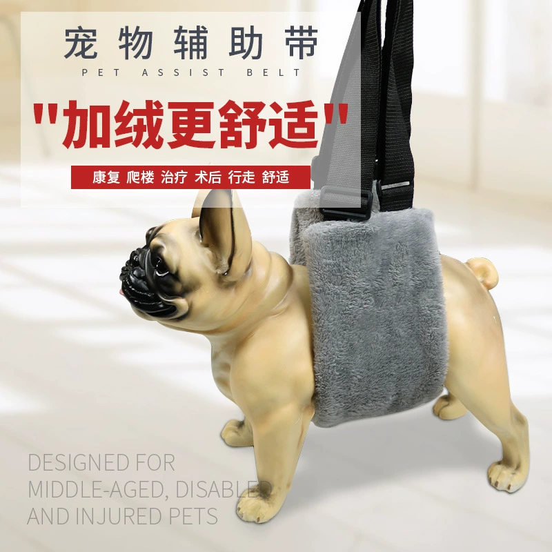 Новый Тяговый пояс для собак, вспомогательный пояс, коралловый флис, инвалиды и больные пожилые собаки, портативный вспомогательный пояс для выгула собак