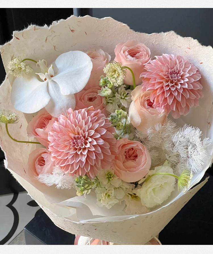 06b3f9dc-001d-40ed-94a9-3c628ec855b0.jpe