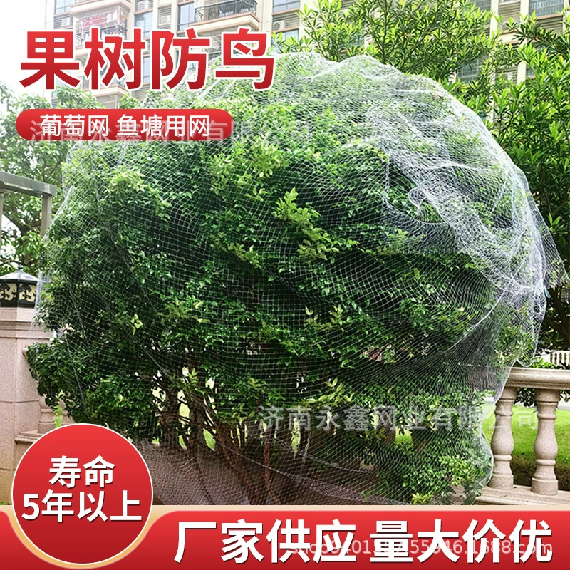 Шаньдун поставки фруктовый сад разведения виноградников анти-птица чистая овощная теплица нейлон рыбный пруд тканые разведения анти-птица чистая