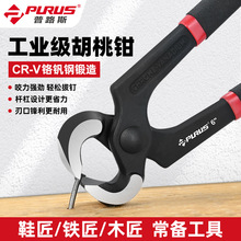 ��·˹�����Q�����Q����Q����Q����Q�޸߸�Ь���Q�R���Q