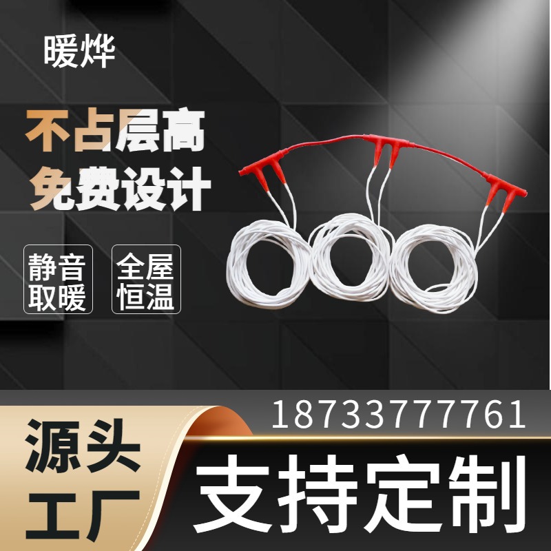 自限温电地暖 电暖带恒温不超温 省心儿童房安装 暖烨工厂直发