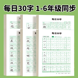 其他益智玩具;玩具挂图;早教闪卡