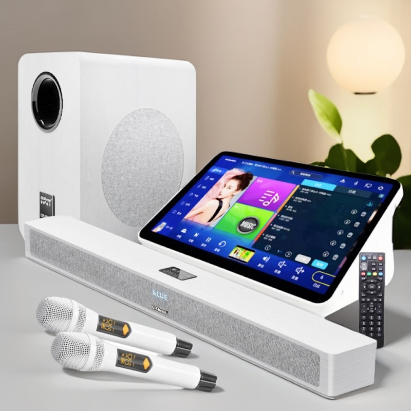 Free Shipping Qisheng New Home Living Room Singing K Song Echo Wall Audio with Subwoofer Set Tv Ktv Home Belt