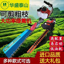 �Aʢ�G�h�C������֦�����~�������������C���_���Aʢ����