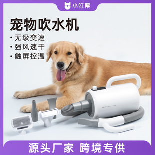 Little Red Chestnut Pet Hair Dryer High Power Dog Hair Dryer Special Dryer for Large Dog Cat Hair Blowing Machine