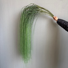 婚礼垂吊绿植千丝万缕绿色水竹叶大垂柳吊顶婚庆背景婚礼堂装饰