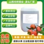 odm公斤定制桶装柿子醋