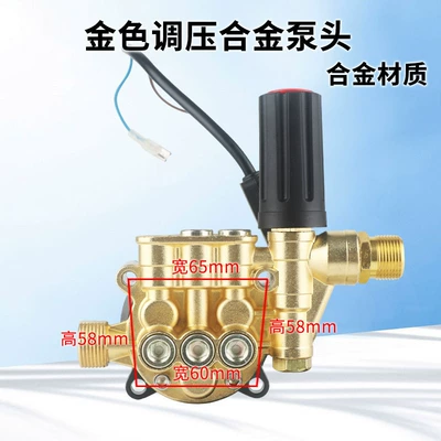 wash device pump head assembly – Car washing machine - universal-for-portable-machines-pressure-adjustable-pump-head-gold-alloy-pump-head-with-pressure-adjustment-function