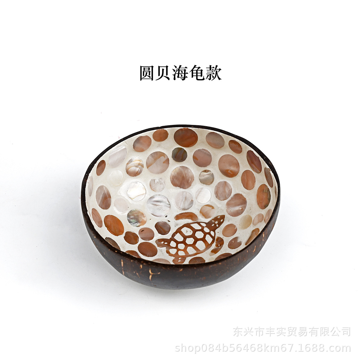 둥근 껍질 거북