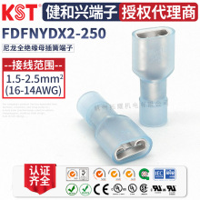 KST�����dFDFNYDX2-250 ����ȫ�^�� ���~��ĸ���� 6.3��� UL�J�C