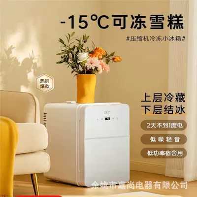 Single Rental Household Mini Soyuducular