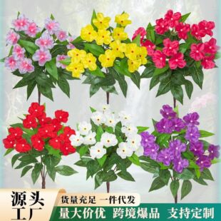 ���R�d�����P�ɻ����滨�Ҿ������bٻ��҃ȷ���Gֲ�����羳��