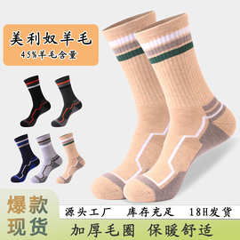 户外男女登山美丽奴羊毛袜徒步袜专业运动袜吸湿排汗中筒袜毛巾底
