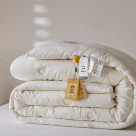 a类100%全棉李官奇纤维填充大豆被柔软纯棉被芯保暖秋冬厚被子8斤