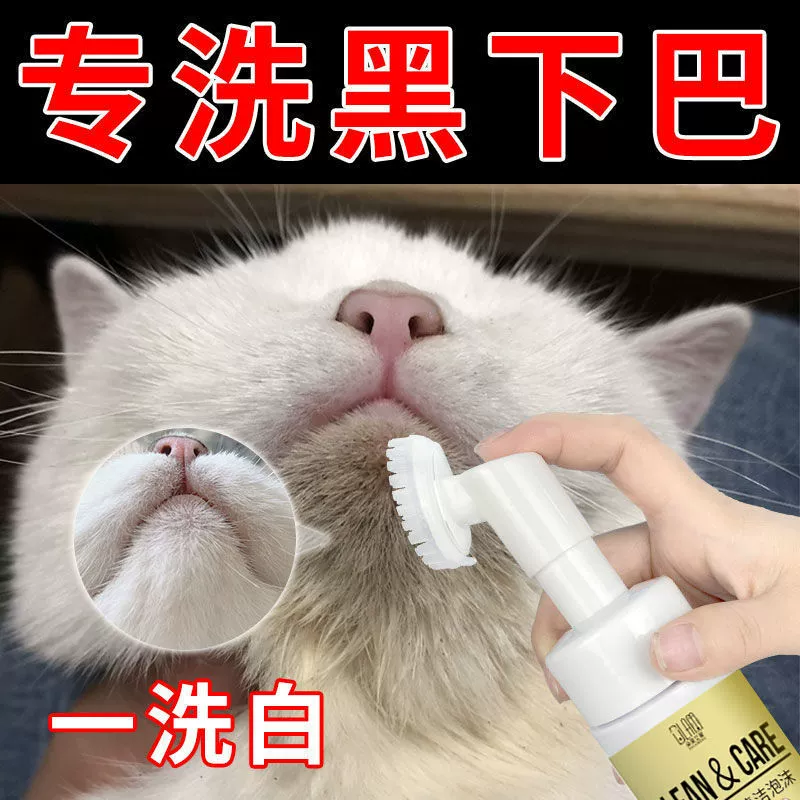 Чистый пенный кот черный подбородок