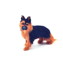 SrF؛lƤë[eȮǹڱˇƷ