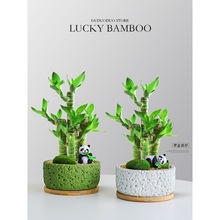 ���F��Gֲ�����҃���ؔ�k��������͏d���B�lؔ�Ĳ�����ļ�����