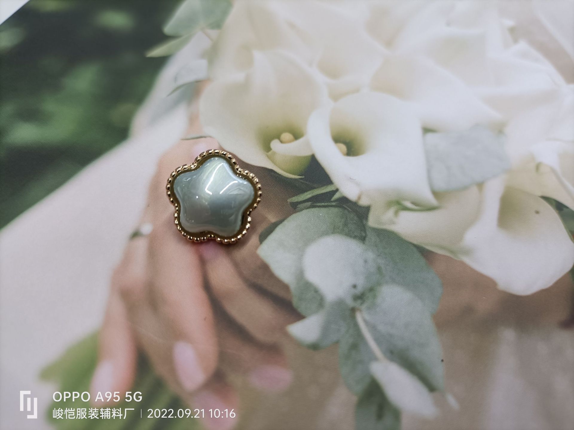 b5787dae8813c19c85f9540d75d4b5