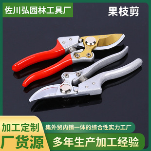��֦���ӈ@���޻�֦��ˇ������������֦�� SK5��֦������