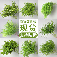 ɭϵ���滨�������û�c����ֲ���J������횲�ǧ�ӽ����Gֲ�쾰