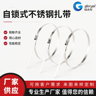 GL-304 stainless steel cable tie white steel self-locking metal cable tie with buckle cable tie