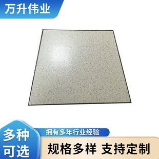 Anti-static Floor Computer Room Floor School Overhead Static Floor All-steel Anti-static Elevated Raised Floor