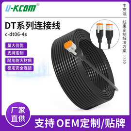 DT防水连接器2p4p6p新能源汽车线束公母对接线防火耐高温端子线