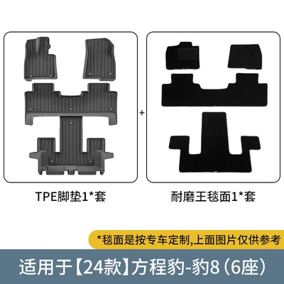 Suitable for 24 Models of Fangcheng Ayaqaltılar (Kovriklər) - 24-models-of-formula-leopard-8-double-layer-six-seatswear-resistant-king-floor-mats