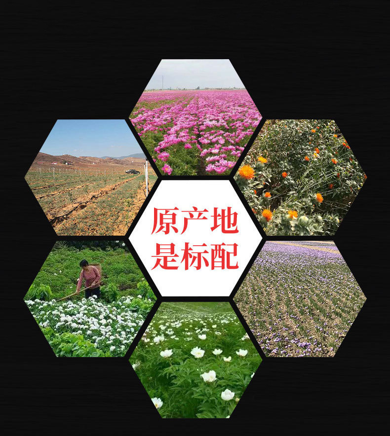 Zi Su (Perilla frutescens) — Dried Perilla Leaf & Stem, Food Herb for Tea & Soup quality and texture