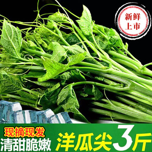 ���r��ϬFժ��ϼ����r�߲˷��ֹϼ��r����횲���z�����ˬ���]