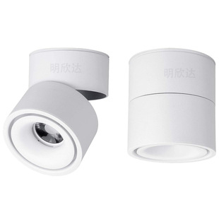 LED���bͲ���ڰ�ɫ���ۯBʽ��Ƕ�COB������D����������10W
