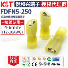 KST�����d FDFN5-250 ����ȫ�^������ 6.3��� UL RoHS CSA�J�C