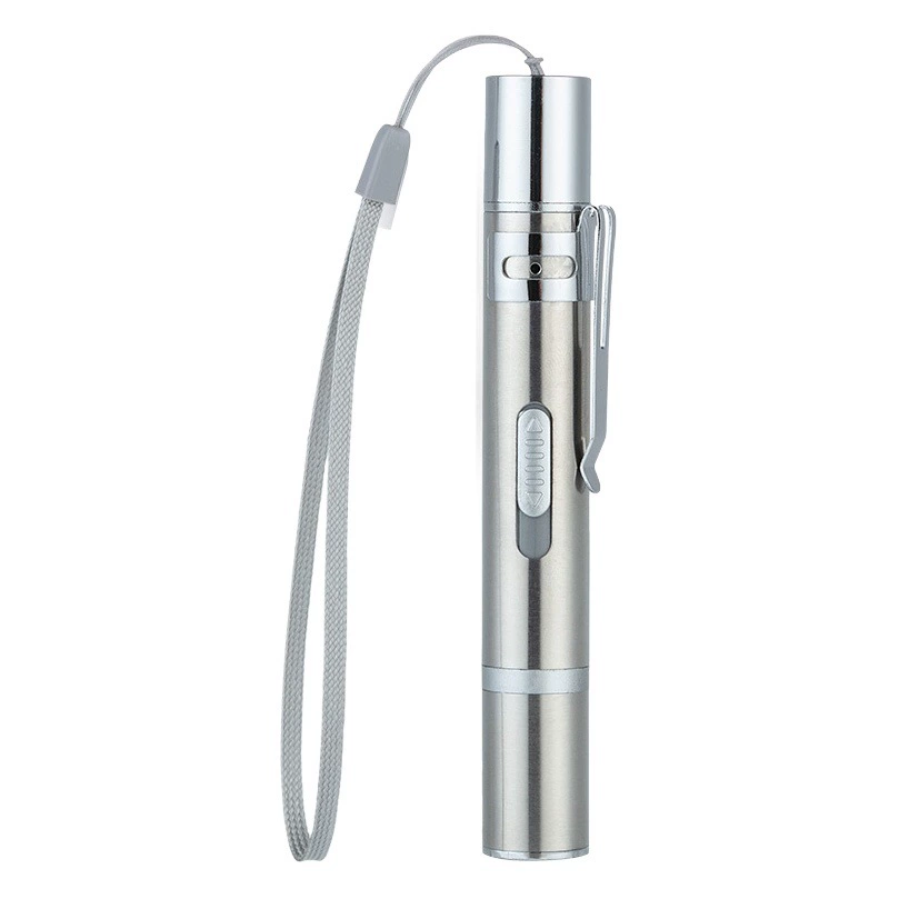 USB мини перезаряжаемый фонарик фиолетовый свет детектор денег три-в-одном инфракрасный лазер Забавный Кот игрушка для домашних животных оптом