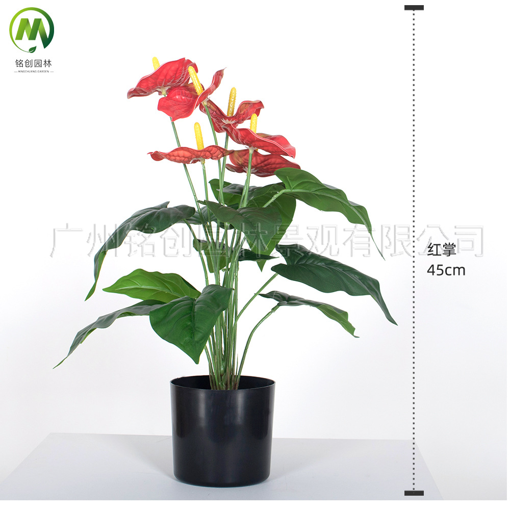 Paisaje interior del suelo, planta pequeña de hoja grande, planta pequeña, planta de taro de hadas, 60cm, planta verde de simulación de monstera, planta pequeña en maceta image 11