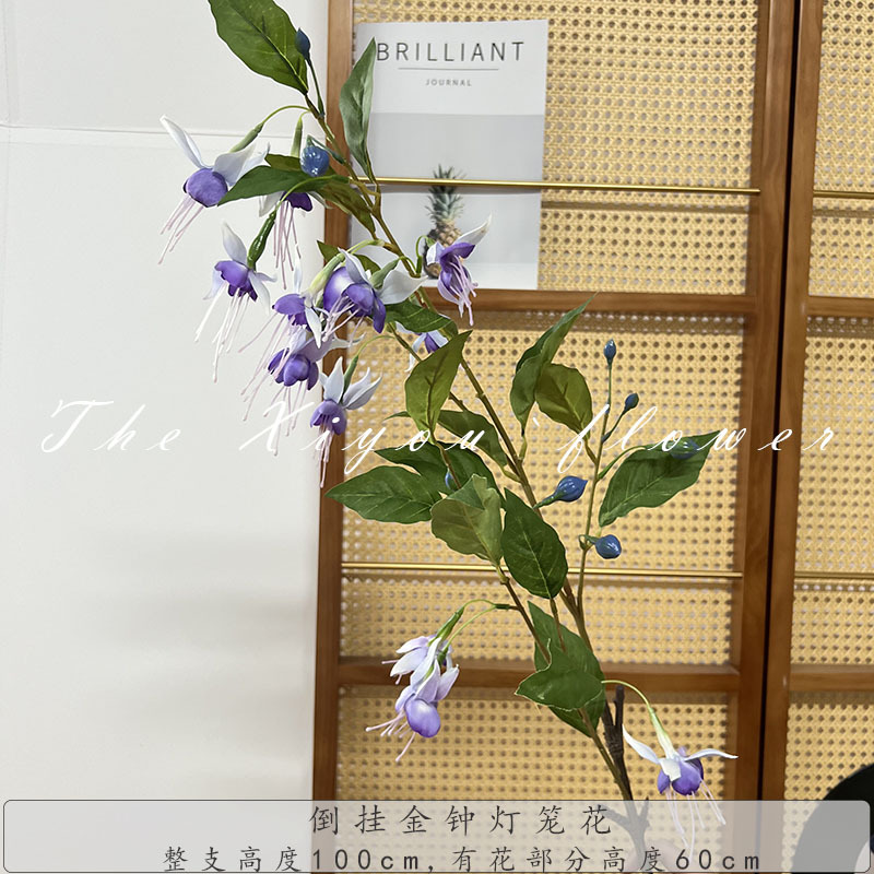 거꾸로 된 황금시계 랜턴 꽃-보라색