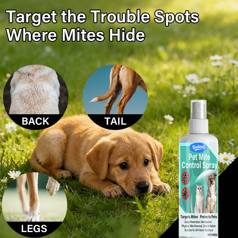 Pet External Spray Protection Against Fleas, Universal Mosquito, Tick and Tick Removal for Cats and Dogs, Safe and Non-Toxic Pet Repellent Cleaner