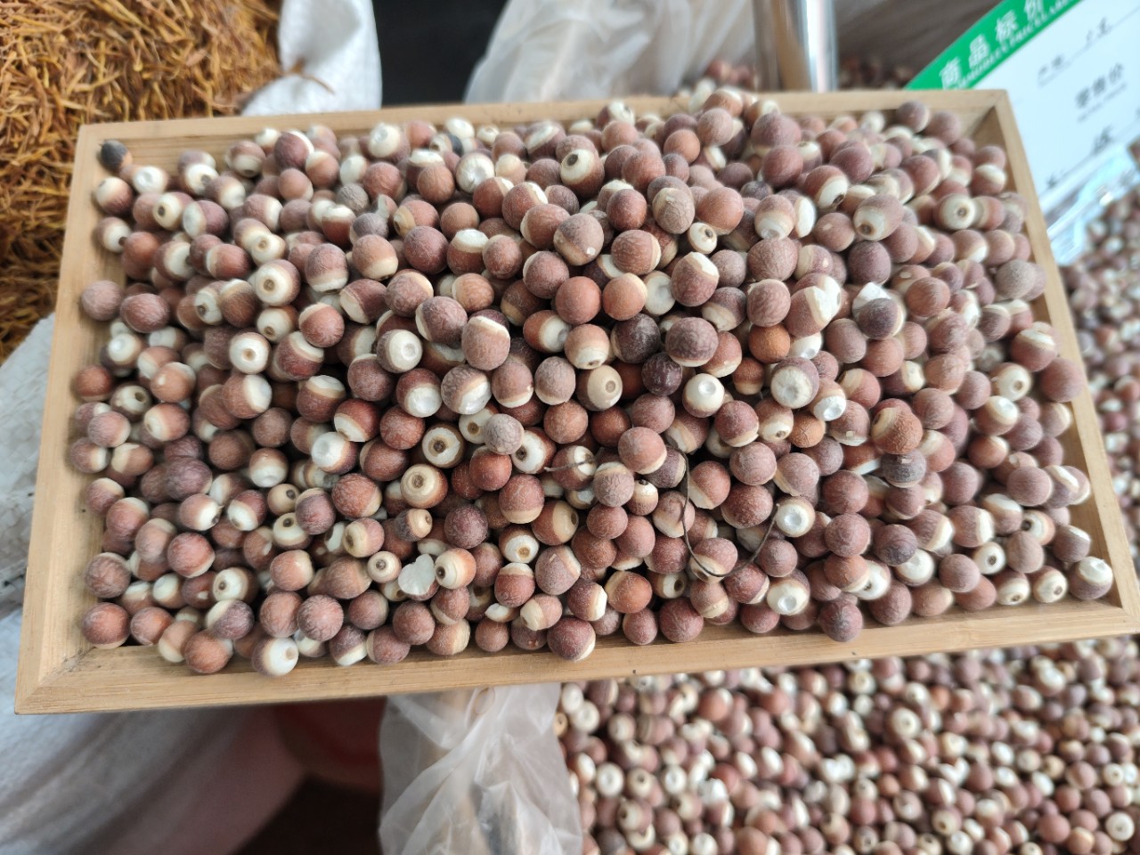Dried Euryale Seed Qian Shi 芡实 Whole Round Kernels 10mm Grade 1 Herbal Grain for Soup and Congee key features