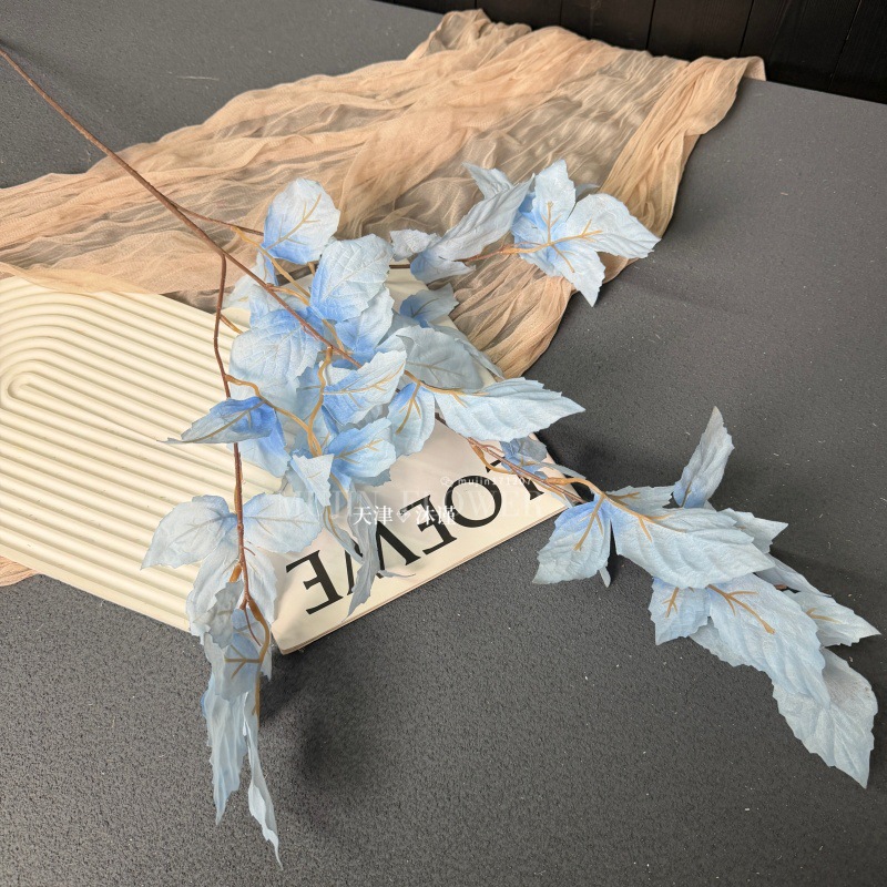장미 잎
