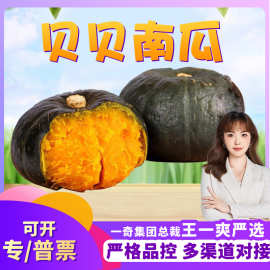 【严选】山东潍坊贝贝南瓜 代发5斤板粉糯小南瓜宝宝辅食应季蔬菜