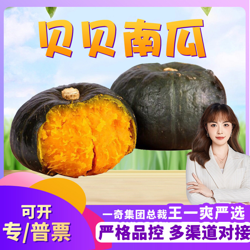 【Premium Selection】Shandong Weifang Beibei Pumpkin, Wholesale 2.5kg Pieces, Soft and Glutinous Small Pumpkin, Baby Food Supplement, Seasonal Vegetables 【Premium Selection】Shandong Weifang Beibei Pumpkin, Wholesale 2.5kg Pieces, Soft and Glutinous Small Pumpkin, Baby Food Supplement, Seasonal Vegetables