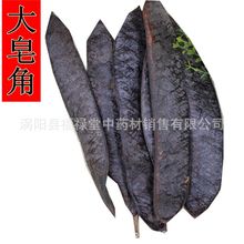 新货 皂角 中药材大皂角 皂角 大皂荚 另有皂角段 猪牙皂