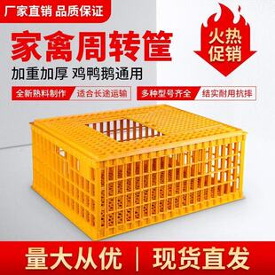 ��̖���D����ݴ����\ݔ�\�Bֳ���ÏS�����l�u���Z�Ӻ������u�\