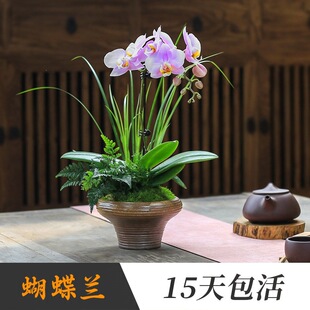 �����m�玧�������Ԏ������M���҃��m���͏d����ֲ��DŮ������