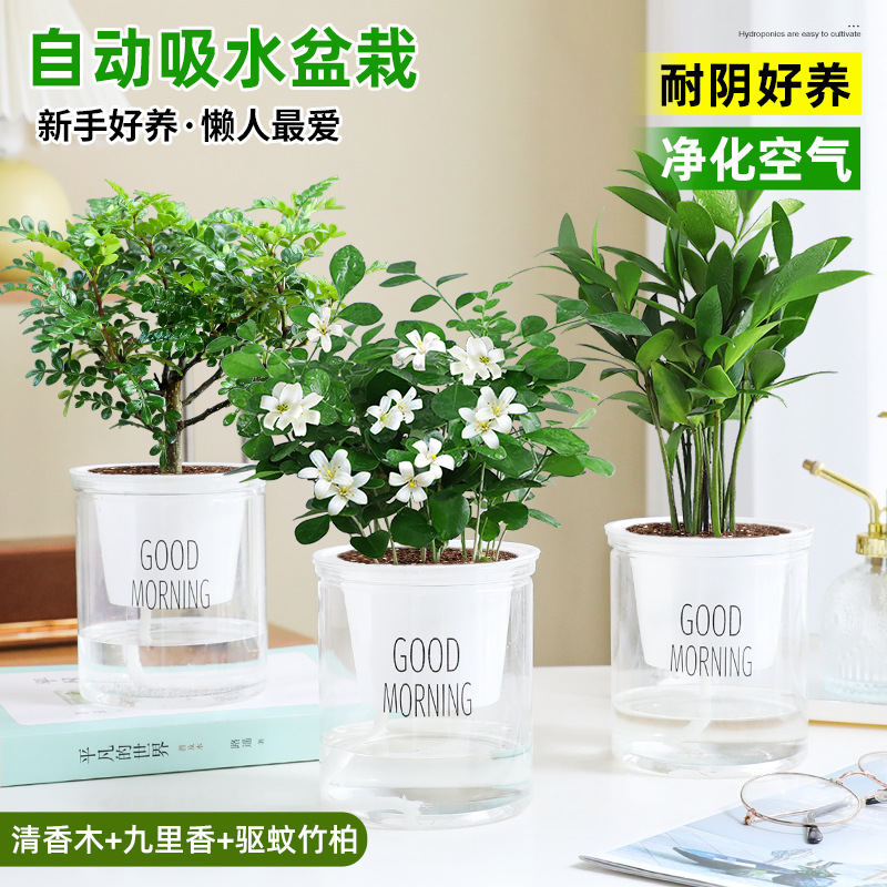 [모기퇴치 패키지] 향나무 + 구리향 + 모기퇴치대나무와 편백나무