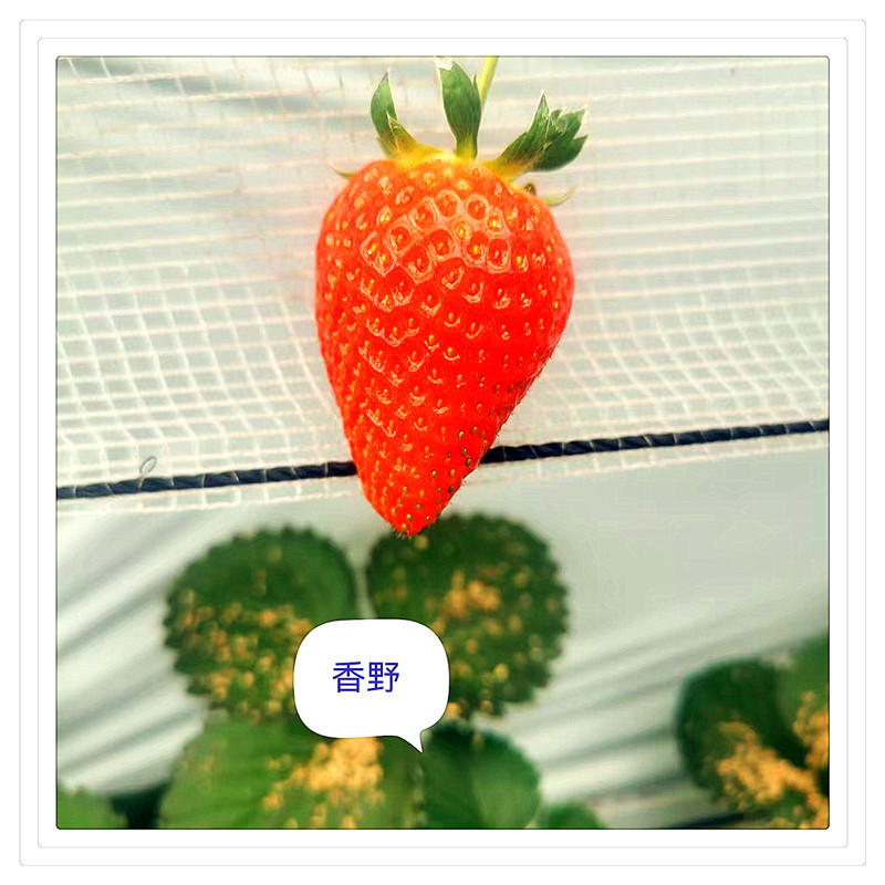 4e419f787ae166eba017b438776389