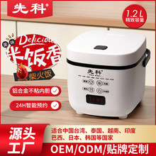����1&mdash;2�˼���С�������һ���ÿ羳ricecooker�p���X��đ