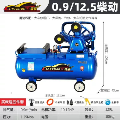 Hava kompressorları — Belt-Type Air Compressor 220 - royal-blue-diesel-09-125